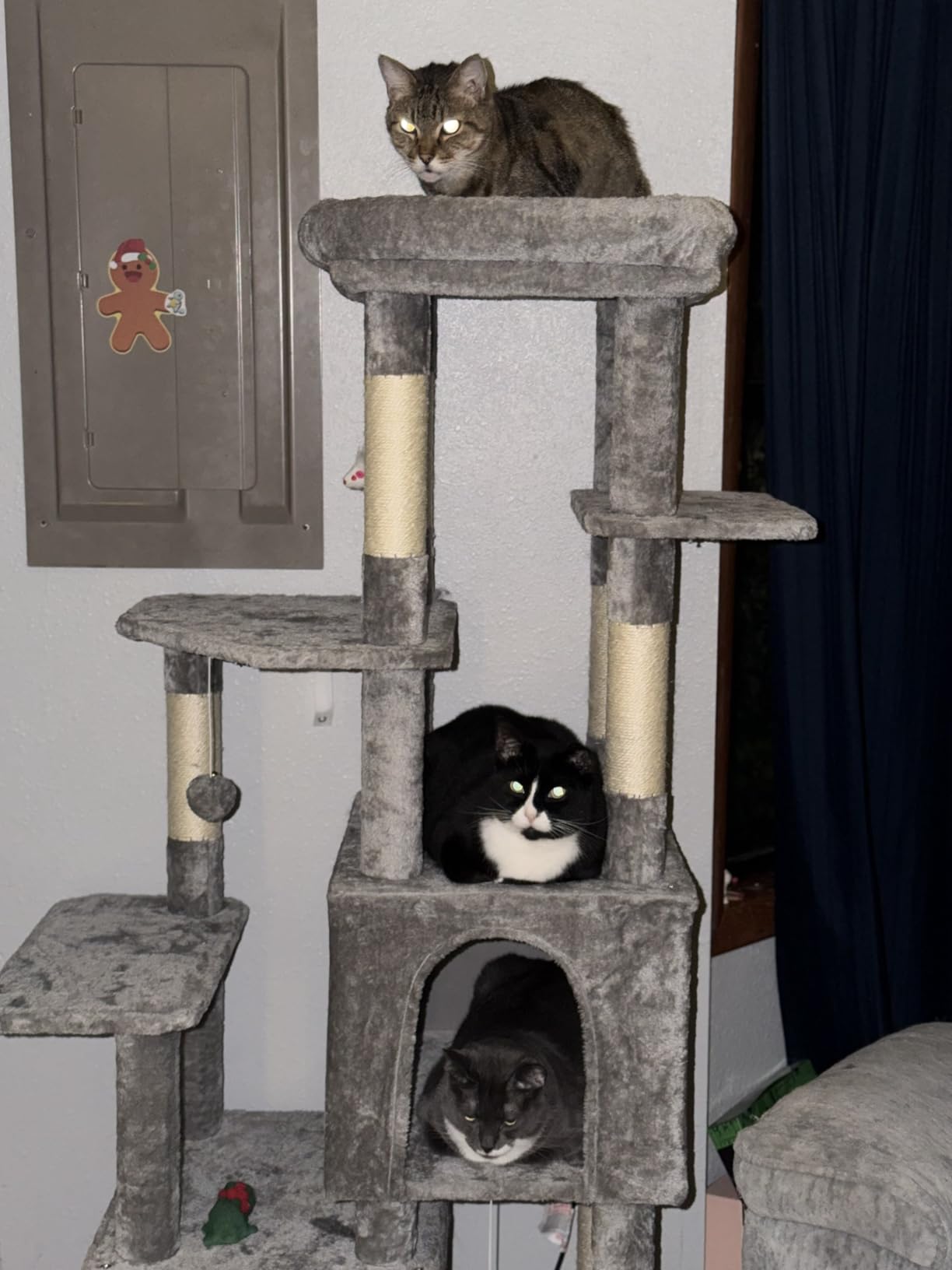 Globlazer Heavy Duty Cat Trees for Big Cats Maine Coon, F61, Light Grey customer photo 1