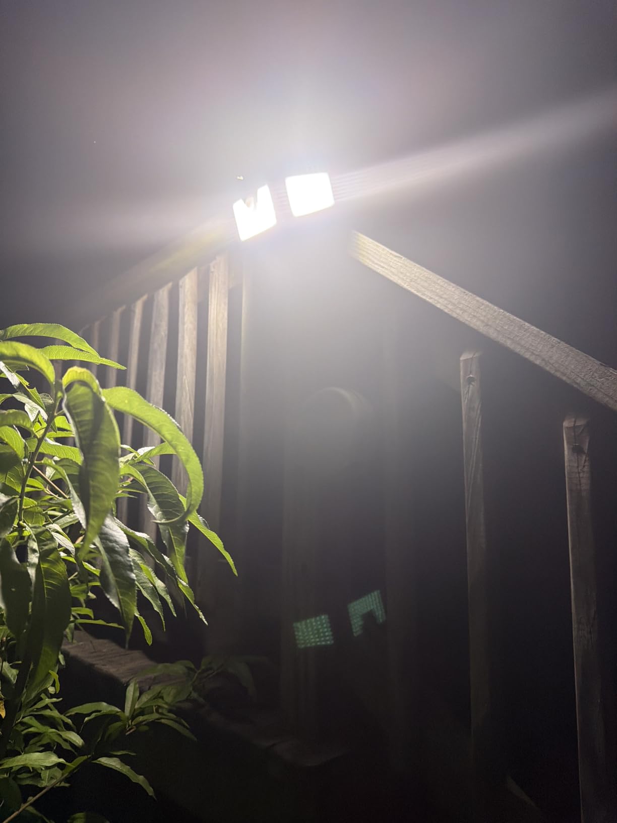 daphino 2500LM Solar Lights, Motion Sensor Outdoor Lights, 3-Head, 2 Pack | 270° Wide-Angle Street & Area Coverage, IP65 Waterproof Security Lighting, 3 Lighting Modes, Non-Remote customer photo 2
