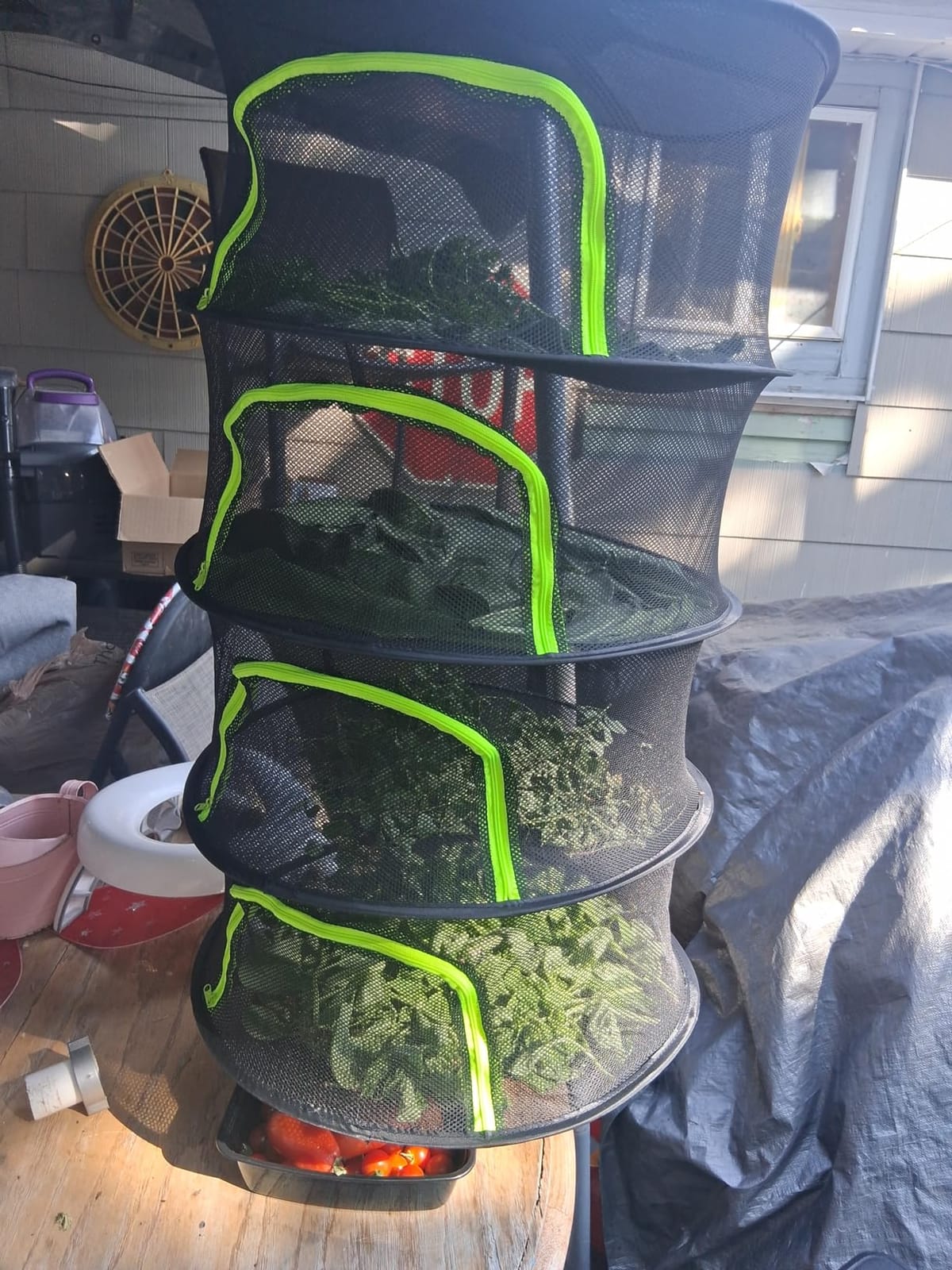 Herb Drying Rack Hanging Mesh 4 Layer 18