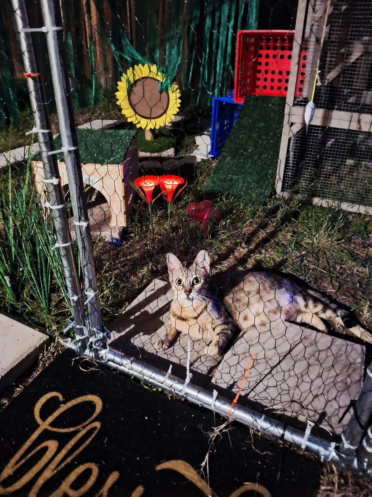 Large Metal Chicken Coop Round Top Upgrade Tri-Supporting Wire Mesh Chicken Run,Chicken Pen with Water-Resident and Anti-UV Cover,Duck Rabbit House Outdoor (25'L x 9'W x 6.5'H) customer photo 1