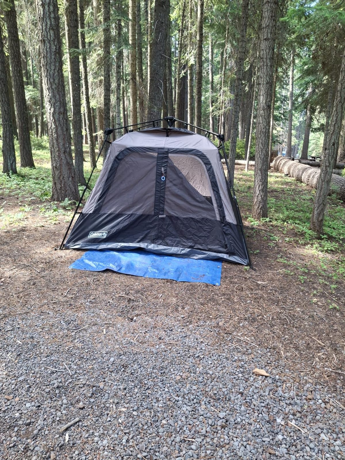 Coleman 4/6/8/10 Person Instant Camping Tent with 1-Minute Setup, Large Family Tent with Pre-Attached Poles, Air Vent, & Carry Bag, Sets Up in About 60 Seconds customer photo 2