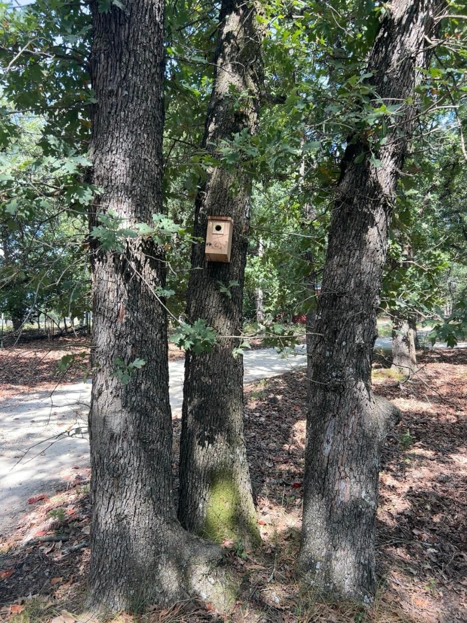 SISTERBIRD 2 Pack Bluebird Houses for Outside, Warming Gifts Bluebird House customer photo 2