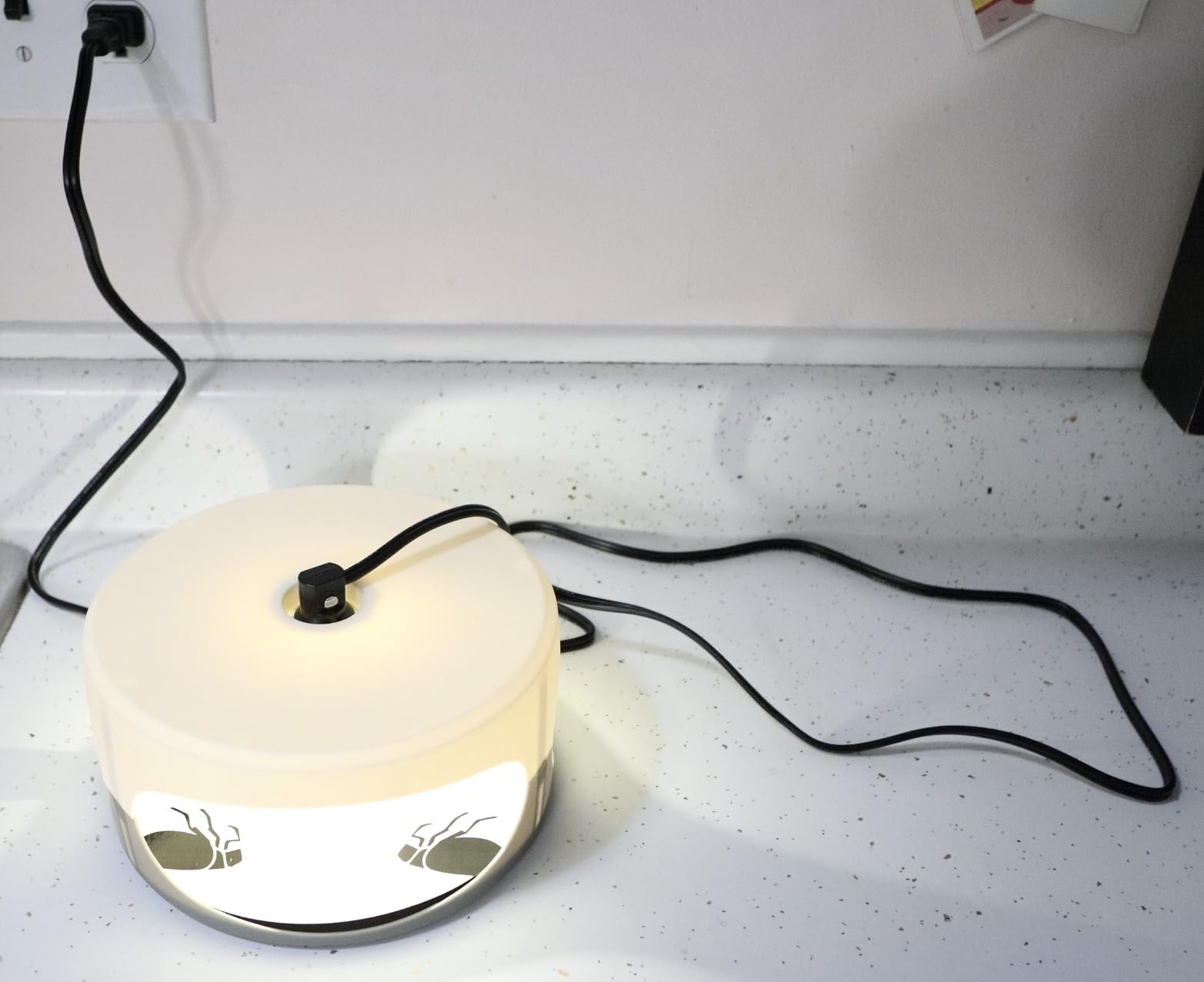 Qualirey 6 Pack Flea Traps with 12 Sticky Disc 12 Bulbs 6 Electric Wires customer photo 1