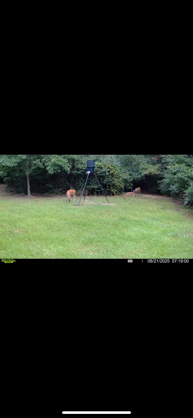 TACTACAM Reveal X 3.0 Cellular Trail Camera, Night Vision, Waterproof customer photo 1