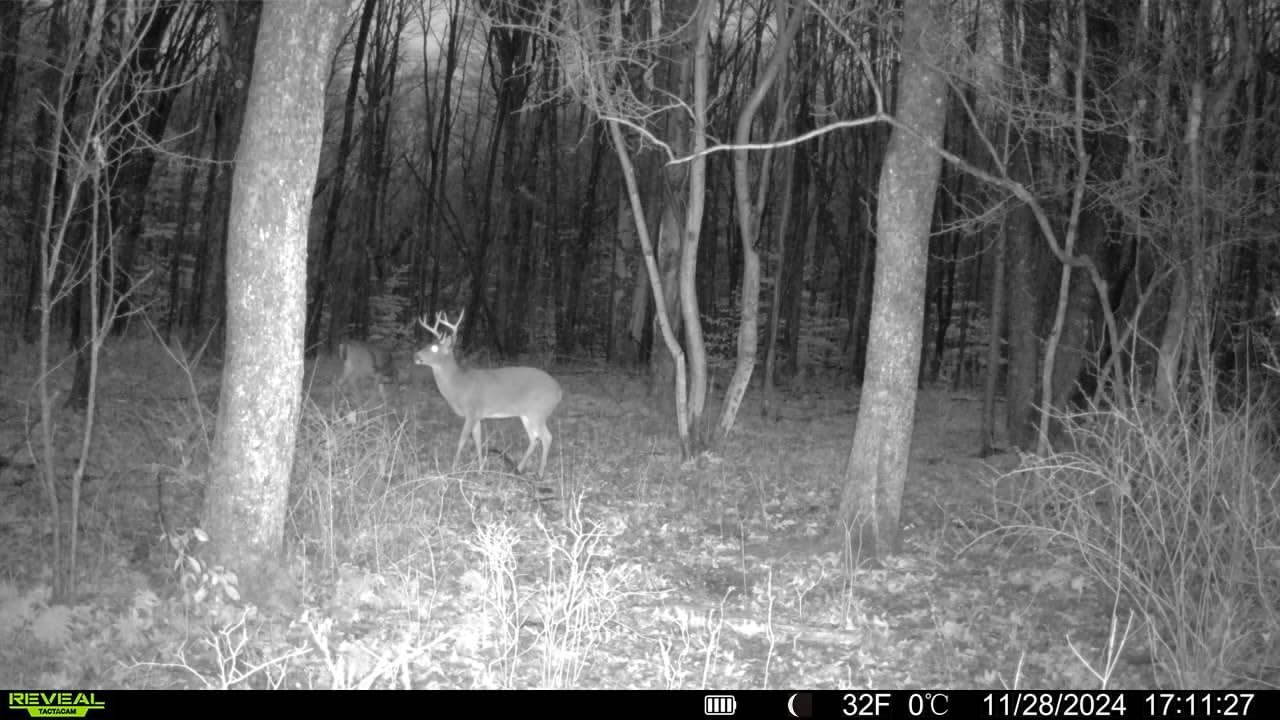 TACTACAM Reveal X 3.0 Cellular Trail Camera, Night Vision, Waterproof customer photo 2