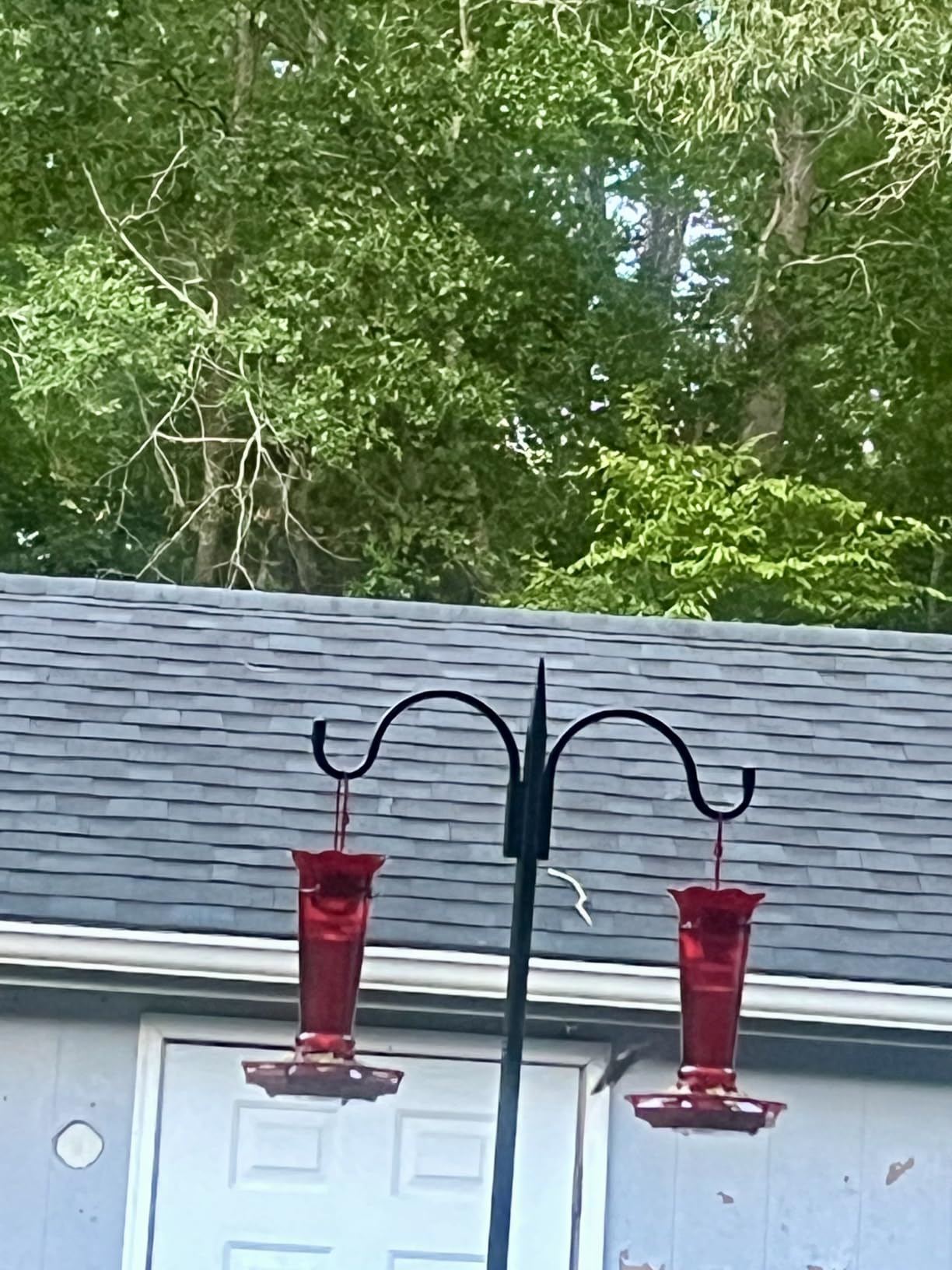 Gtongoko Bird Feeder Pole for Outdoors Heavy Duty, 92 Inch Double Shepherds Hook with 5-Prong Stable Base, 3/4 Inch Thick Hummingbird Feeder Stand for Hanging Plants, Lanterns, 1 Pack customer photo 1
