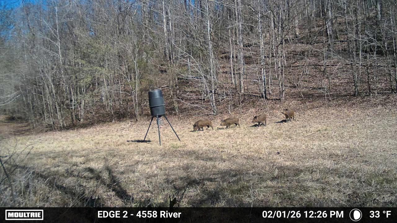 Moultrie Edge 2 Cellular Trail Camera customer photo 1