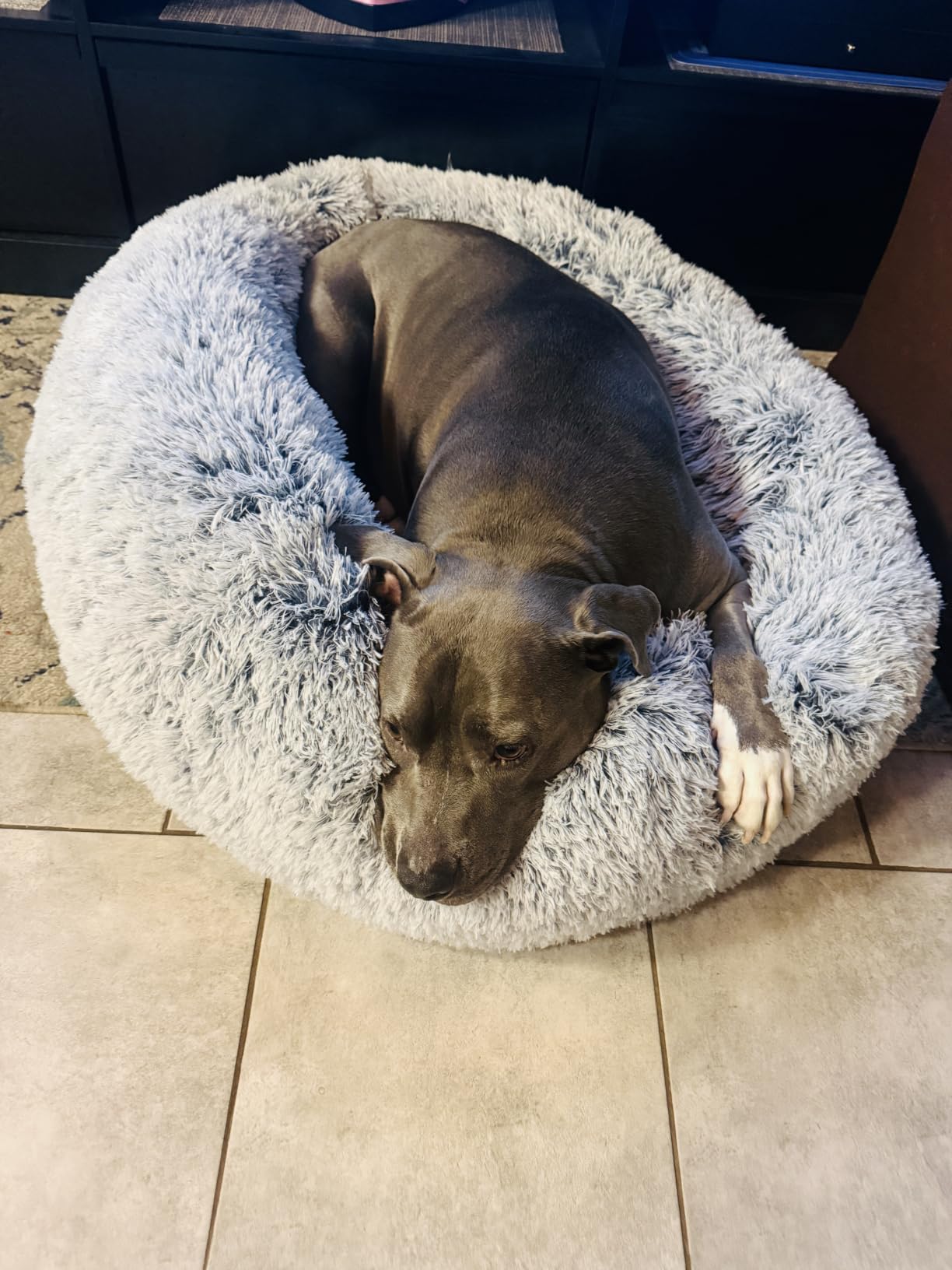 JOLLYVOGUE Calming Dog Bed Medium Size Dog, 31in Donut Washable Medium Pet Bed, Anti-Slip & Anti-Anxiety Fluffy Faux Fur Round Dogs Bed, Fits up to 45 lbs Pets (Smoke Grey) customer photo 1