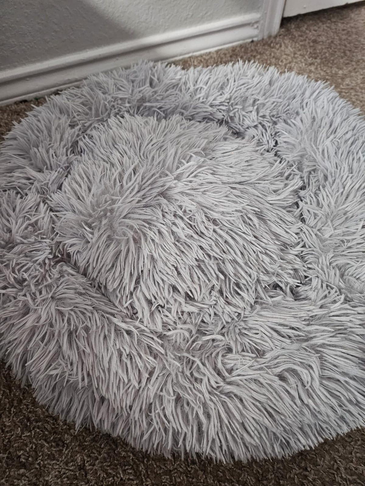 Hoewina Dog & Cat Bed for Indoor Cats, 20in Calming Donut Bed (Light Grey) customer photo 2