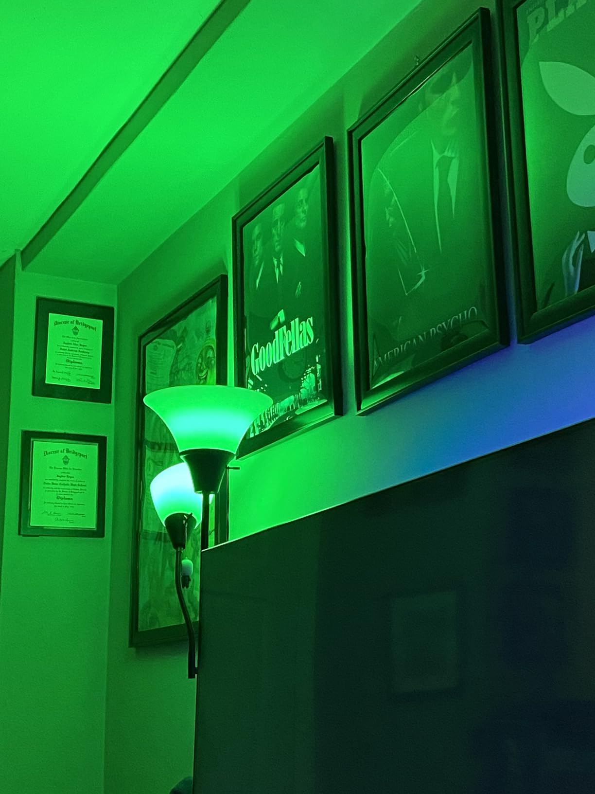 WiZ Connected LED Smart Light Bulbs, Sunset to Sunrise Automation + Motion Detection + Control with Voice or App, Full Color A19 60W 800LM E26 Indoor, Matter Compatible - 1 Pack customer photo 2
