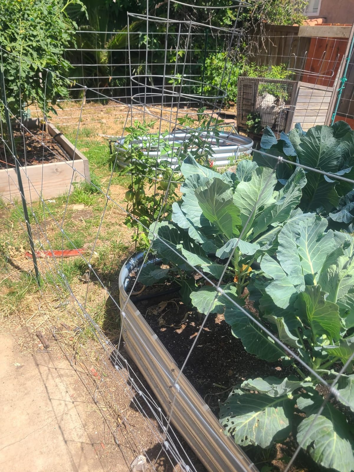 Farm Fence, 4ft x 164ft Galvanized Wire Fencing, Goat, Sheep & Deer, Durable Chain Link Fence, Heavy Zinc Coating Wire Used to Hog Goat Fencing for Yard Garden and Field customer photo 1