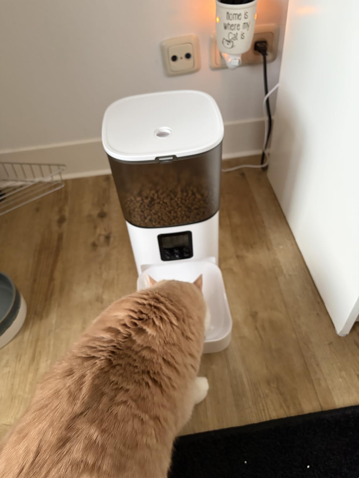 ANDOLL HOME Automatic Cat Feeder, 4L Cat Food Dispenser with 10s Voice Recorder, Pet Feeder up to 8 Meals per Day, Timed Dog Feeder with Dry Food Sealed Ring customer photo 1