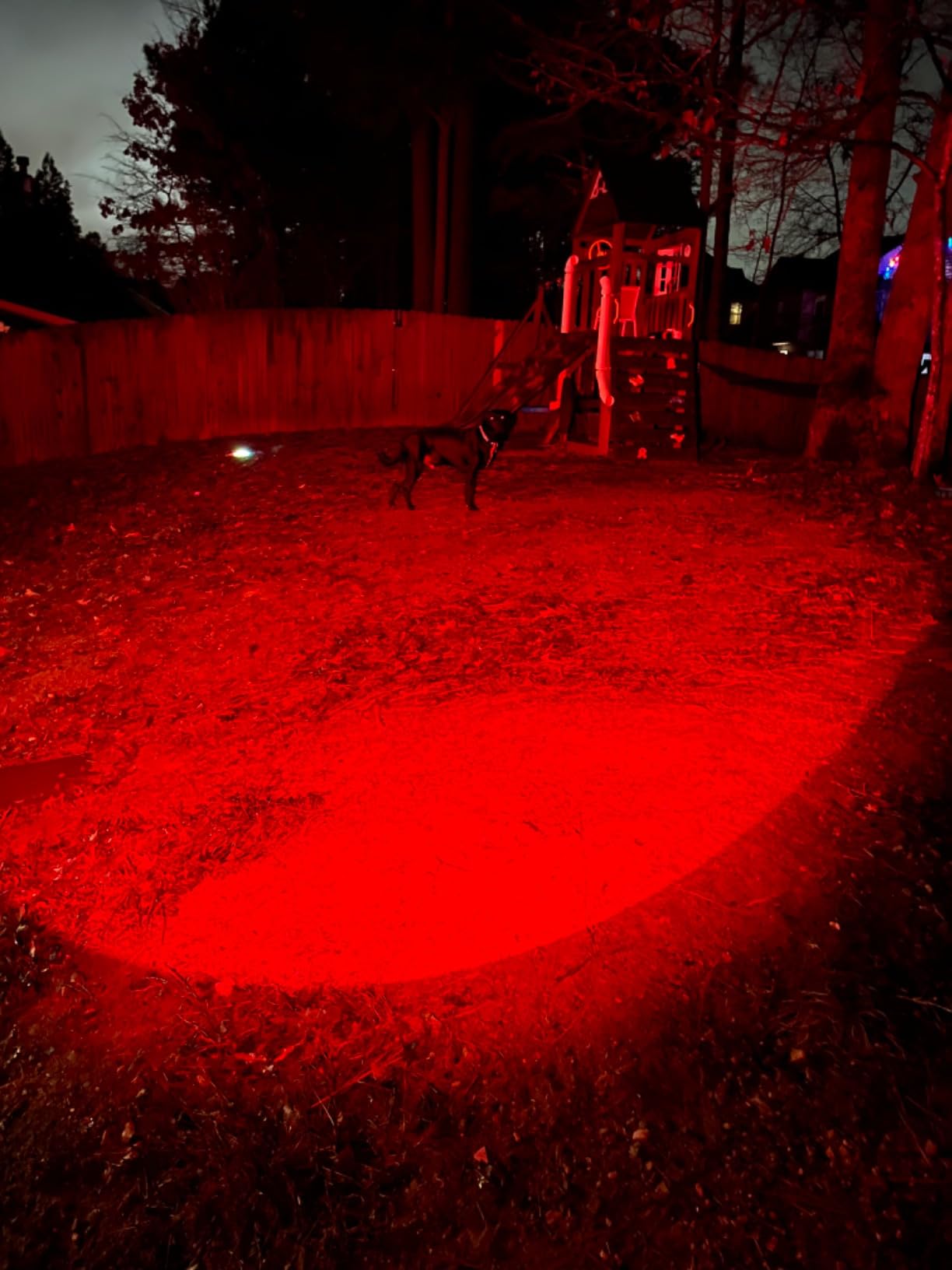 RECHOO Red Light Flashlight, High-Powered 3-Mode Red LED Rechargeable Flashlights with Clip & Lanyard, Zoomable Portable Red Flashlights for Hunting, Astronomy, Aviation & Night Observation customer photo 2
