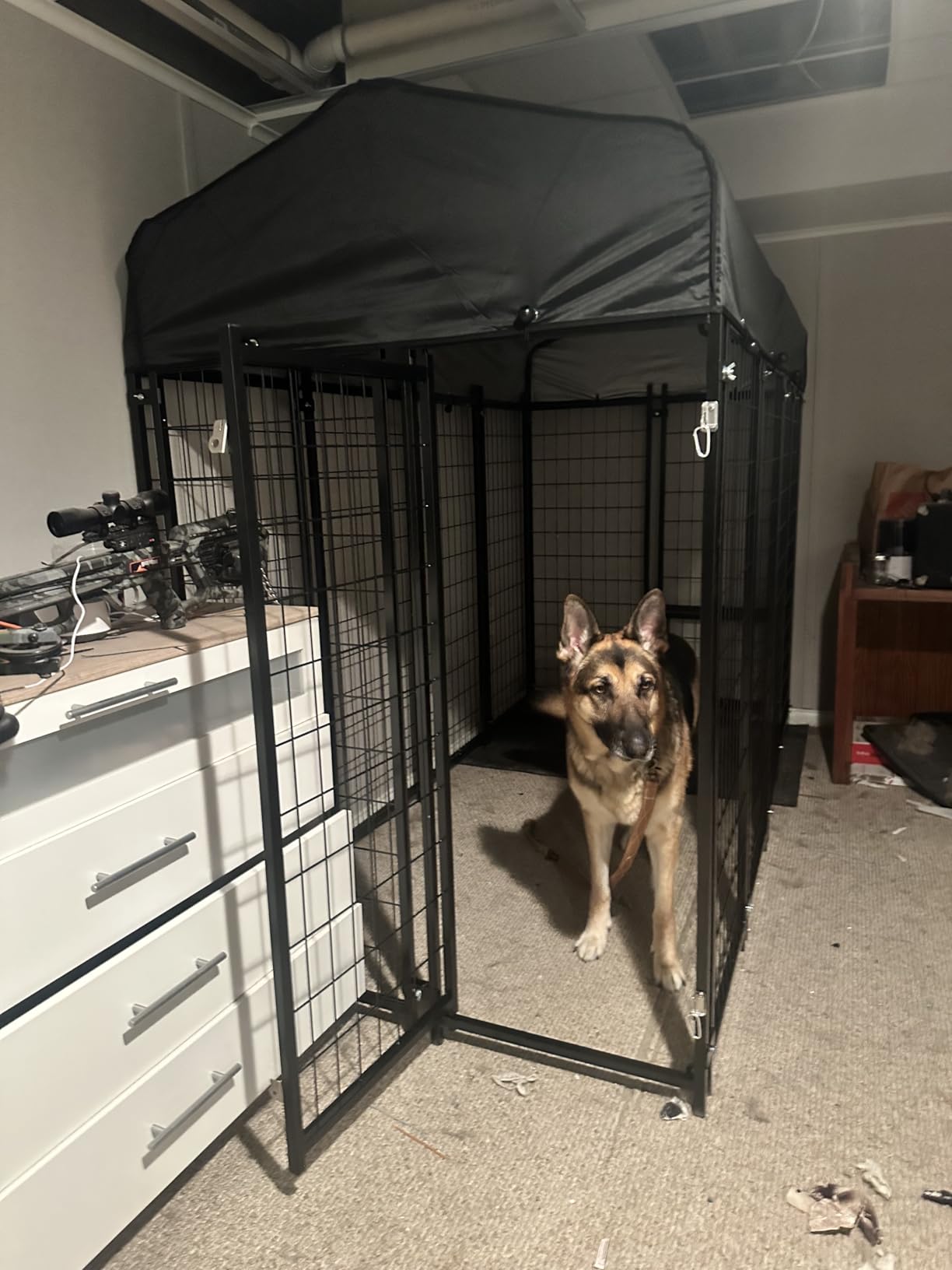 Sino Luban Outdoor Dog Kennel Outside Run with Doggy Door, Swivel Feeder&Roof - 8x4x6FT Large Dog Kennels Pens Outside for Large Dogs Breed- Heavy Duty Cage Yard (Can Connect to Your Dog House) customer photo 1