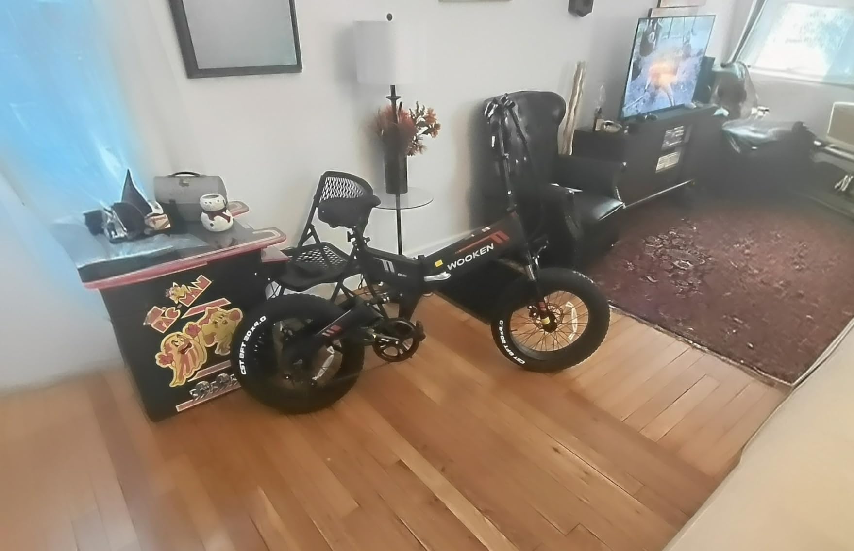 Wooken Electric Bike, 20''X4.0 Fat Tire Electric Bike for Adults customer photo 2