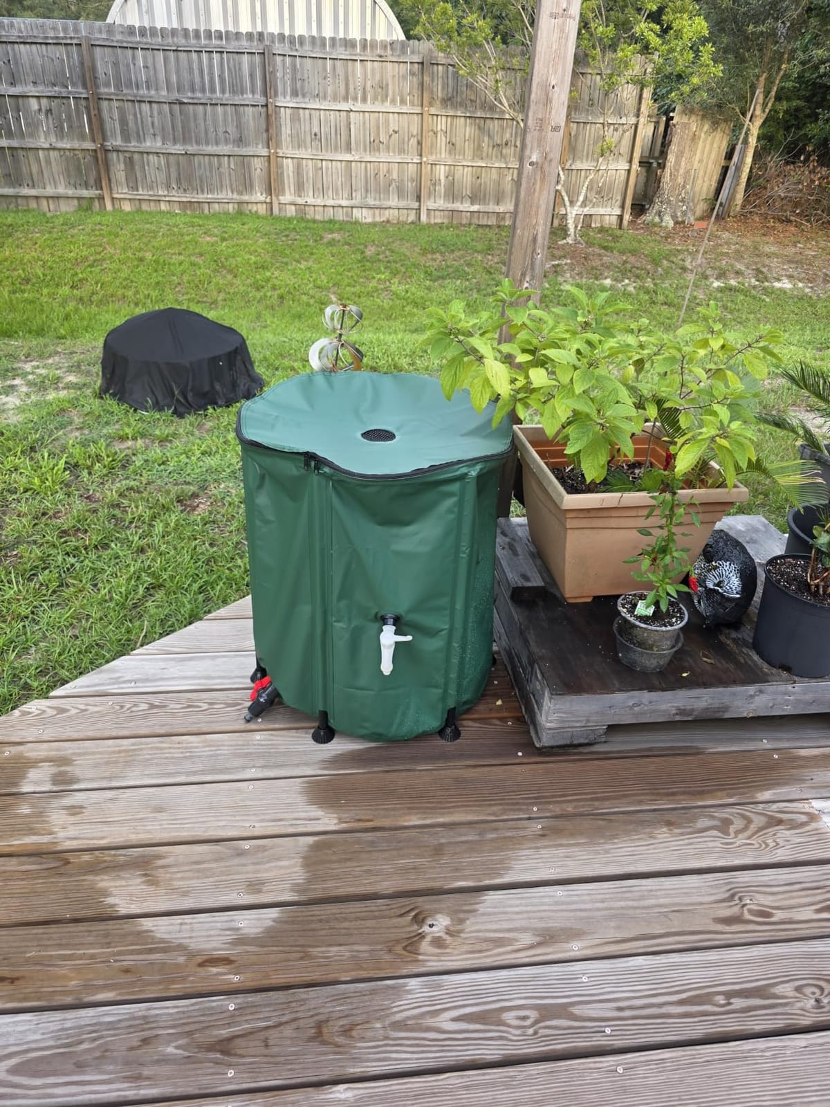 Collapsible Rain Barrel Water Storage Containers-53 Gallon Portable Rainwater Collect System Water Tank to Collect Rainwater from Gutter Downspout Water Catcher with Spigots,Filter＆Overflow Kits customer photo 1