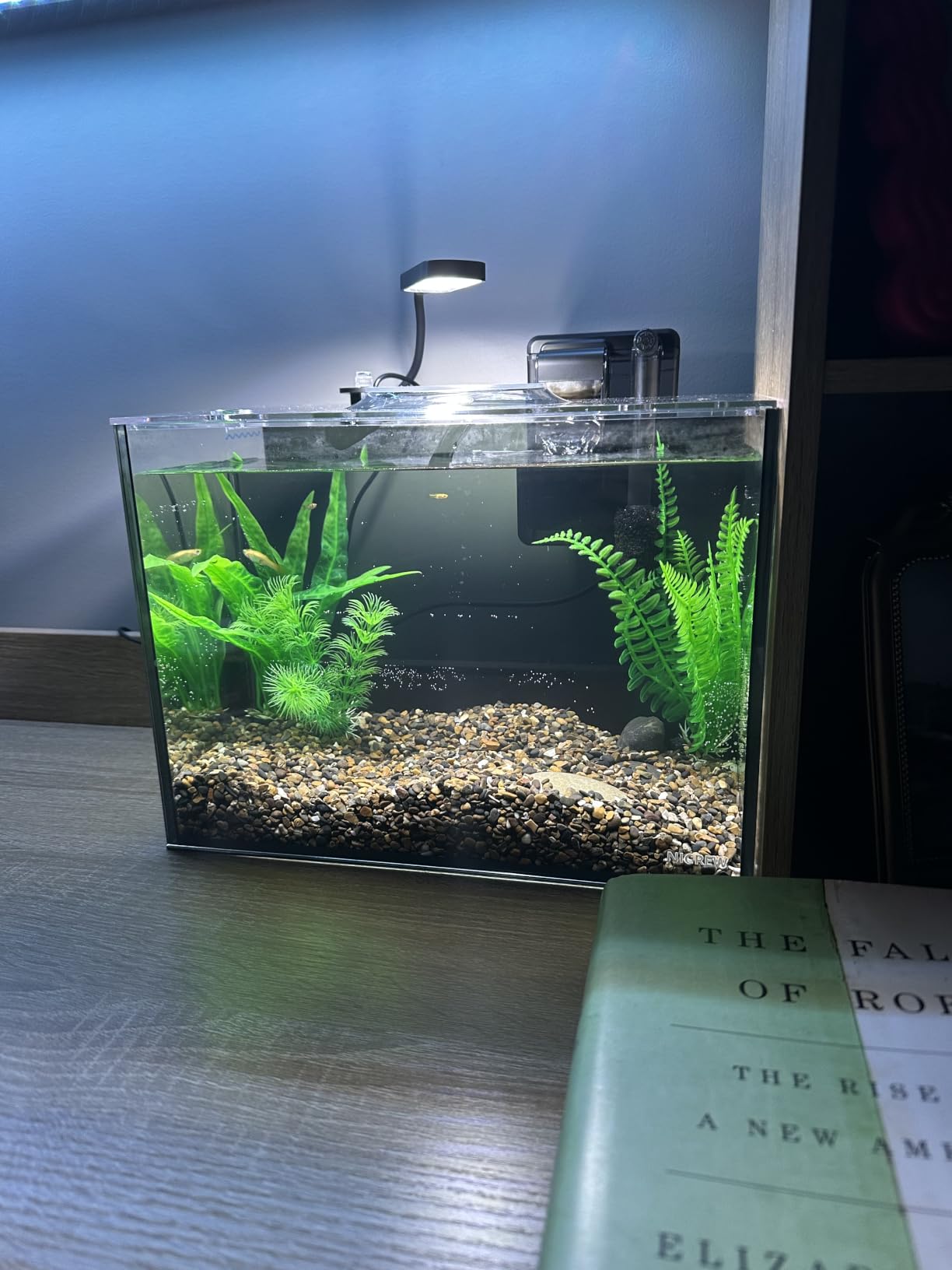 NICREW 2.5 Gallon Nano Nature Aquarium Kit Betta Fish Tank, Complete, Black customer photo 1