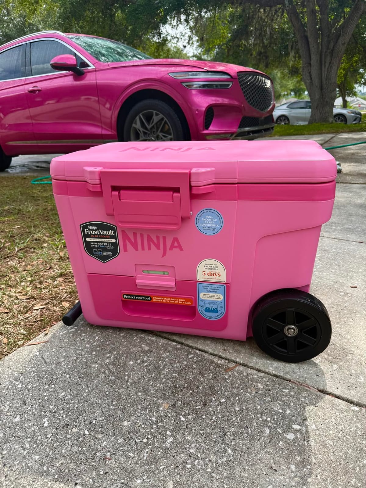 Ninja FrostVault™ 45qt Cooler with Wheels, Dry Storage, Lakeshore Blue customer photo 2