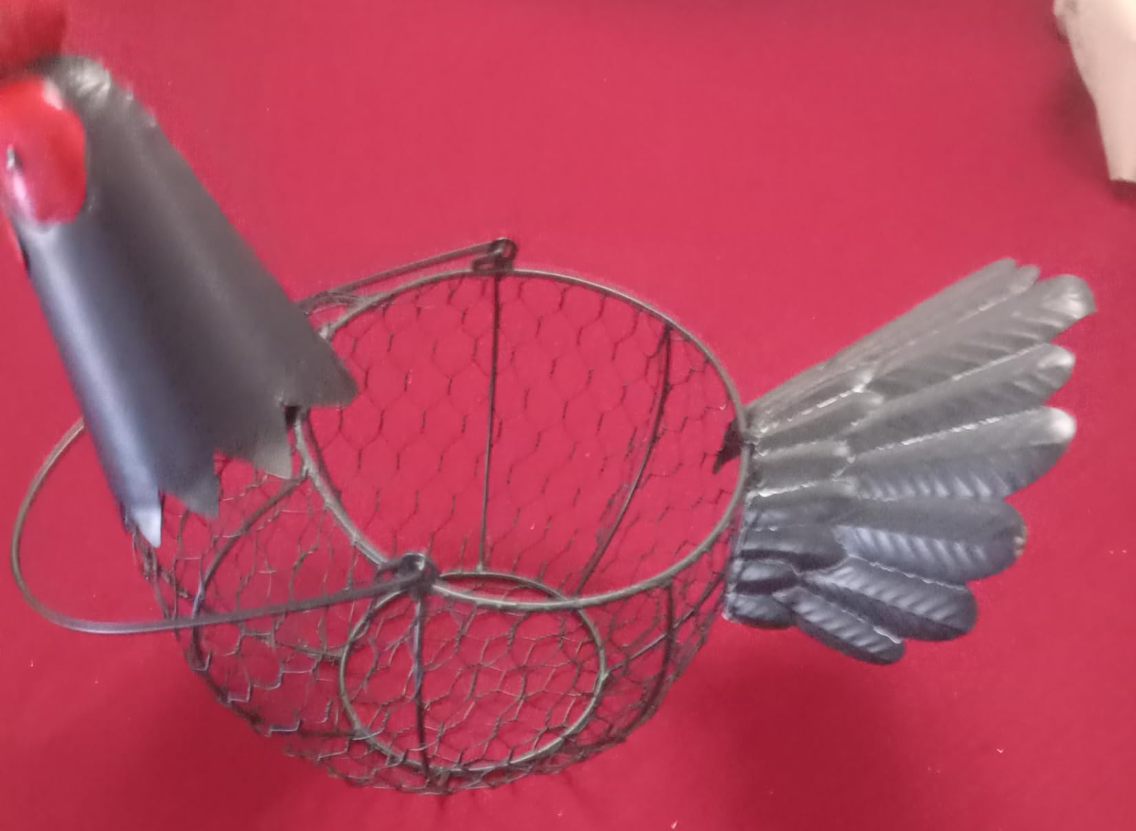 Chicken Egg Collecting Basket,Metal Wire Eggs Holder Bowl with Handle customer photo 2