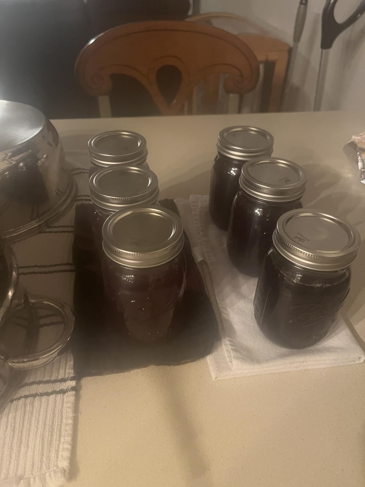 VIVOHOME Stainless Steel Steam Juicer for Canning Fruit and Grape Juice customer photo 1