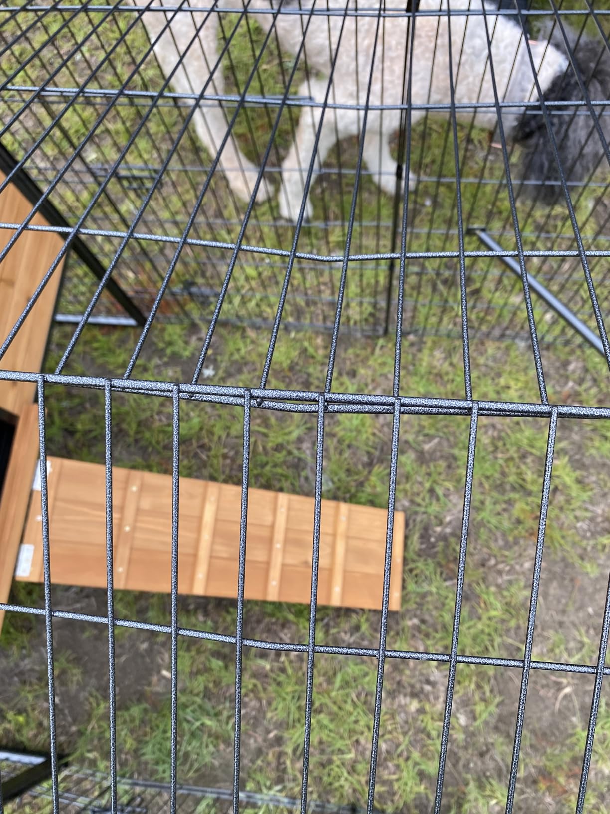 Large Chicken Coop for 6-8 Chickens,Wooden Hen House with Run,Outdoor Duck Coop with Nesting Box, Leakproof Pull-on Tray customer photo 2