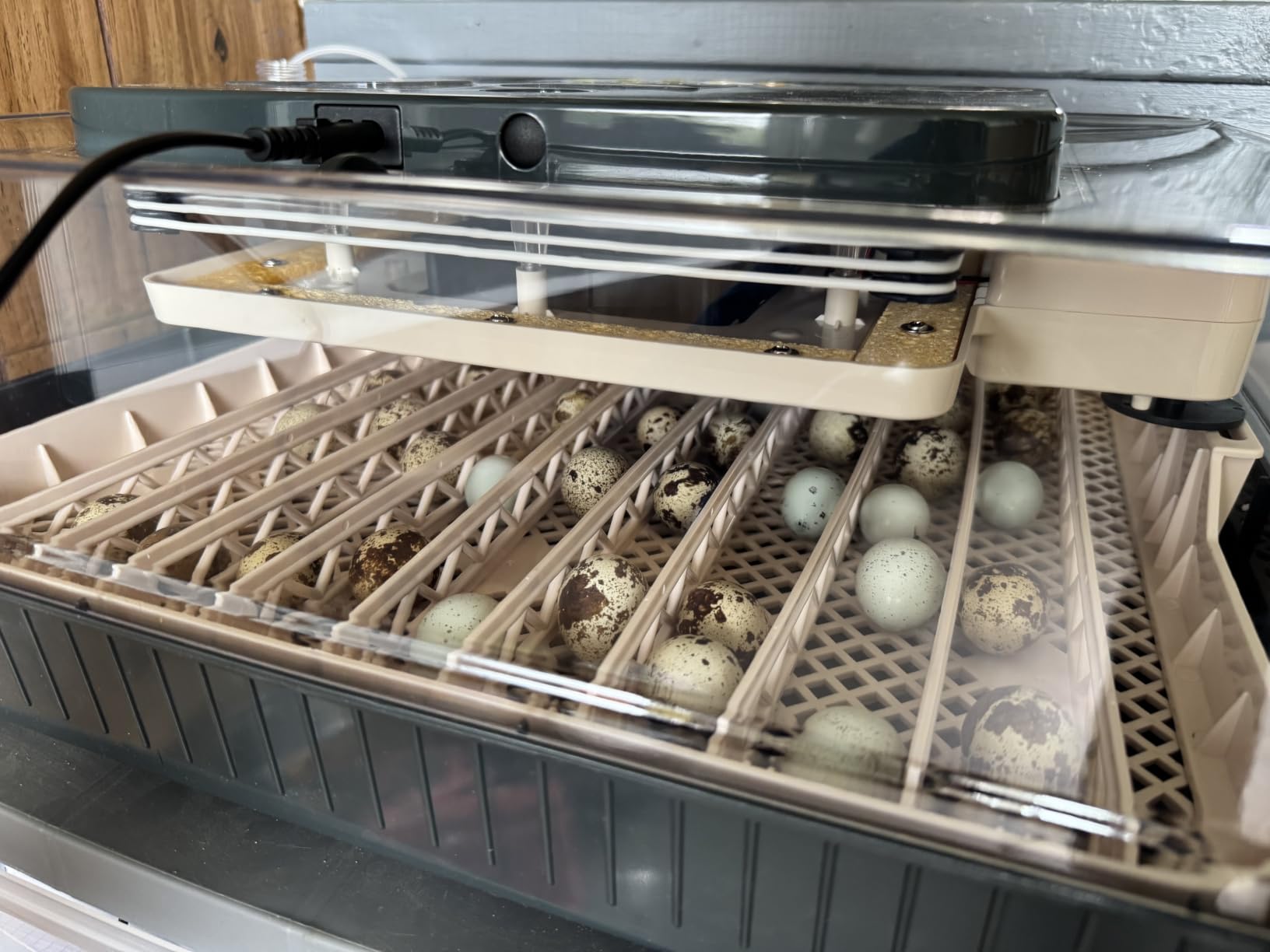 Sailnovo 56 Egg Incubator for Hatching Eggs with Automatic Egg Turning Gray customer photo 2