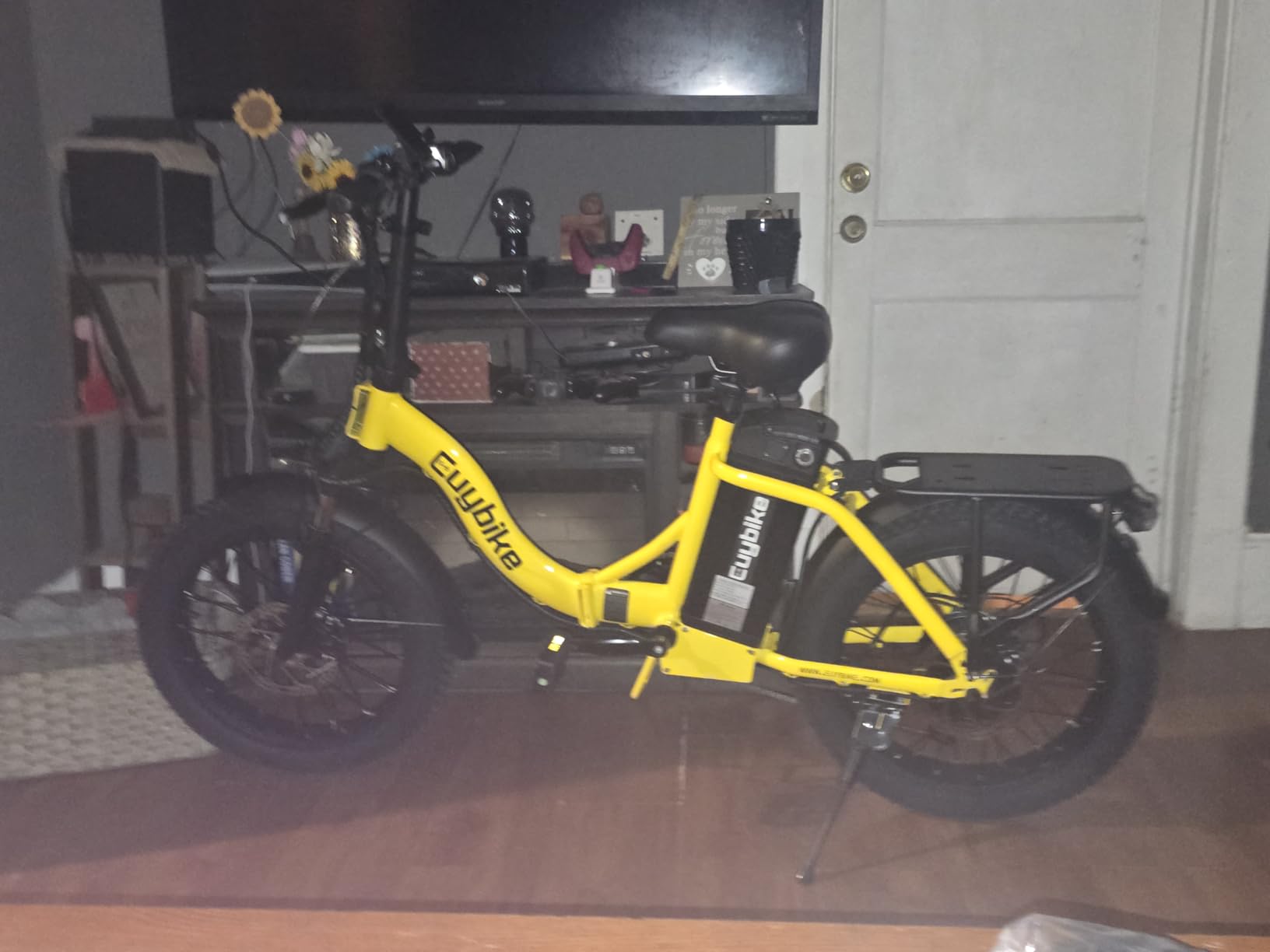 EUYBIKE Electric Bike for Adults, 20
