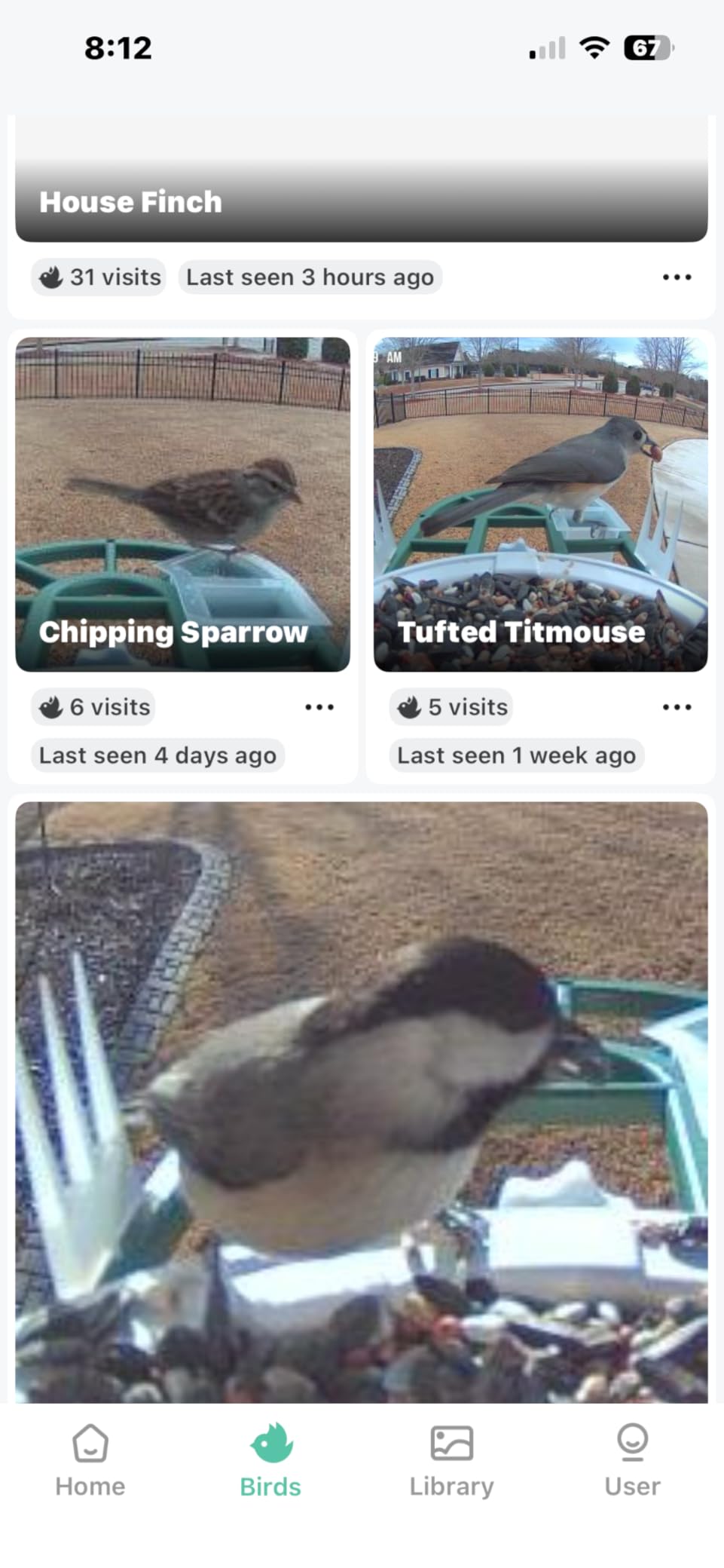 HARYMOR Bird Feeder with Camera, 2K Live Video, AI Identify Bird Species customer photo 1