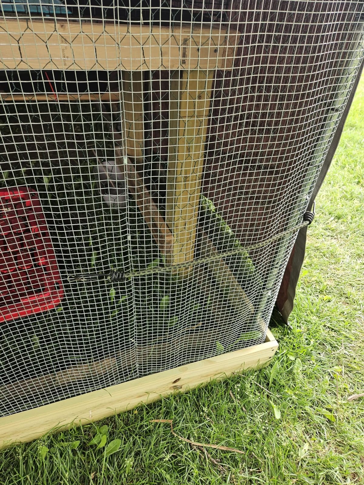 VEVOR Metal Chicken Coop, 6.56x6.56x6.56ft Large Walk-in Chicken Runs with Cover, Spire Roof Hen House Enclosure with Security Lock, Outdoor Duck Rabbit Cage Poultry Pen for Backyard, Farm, Yard customer photo 2