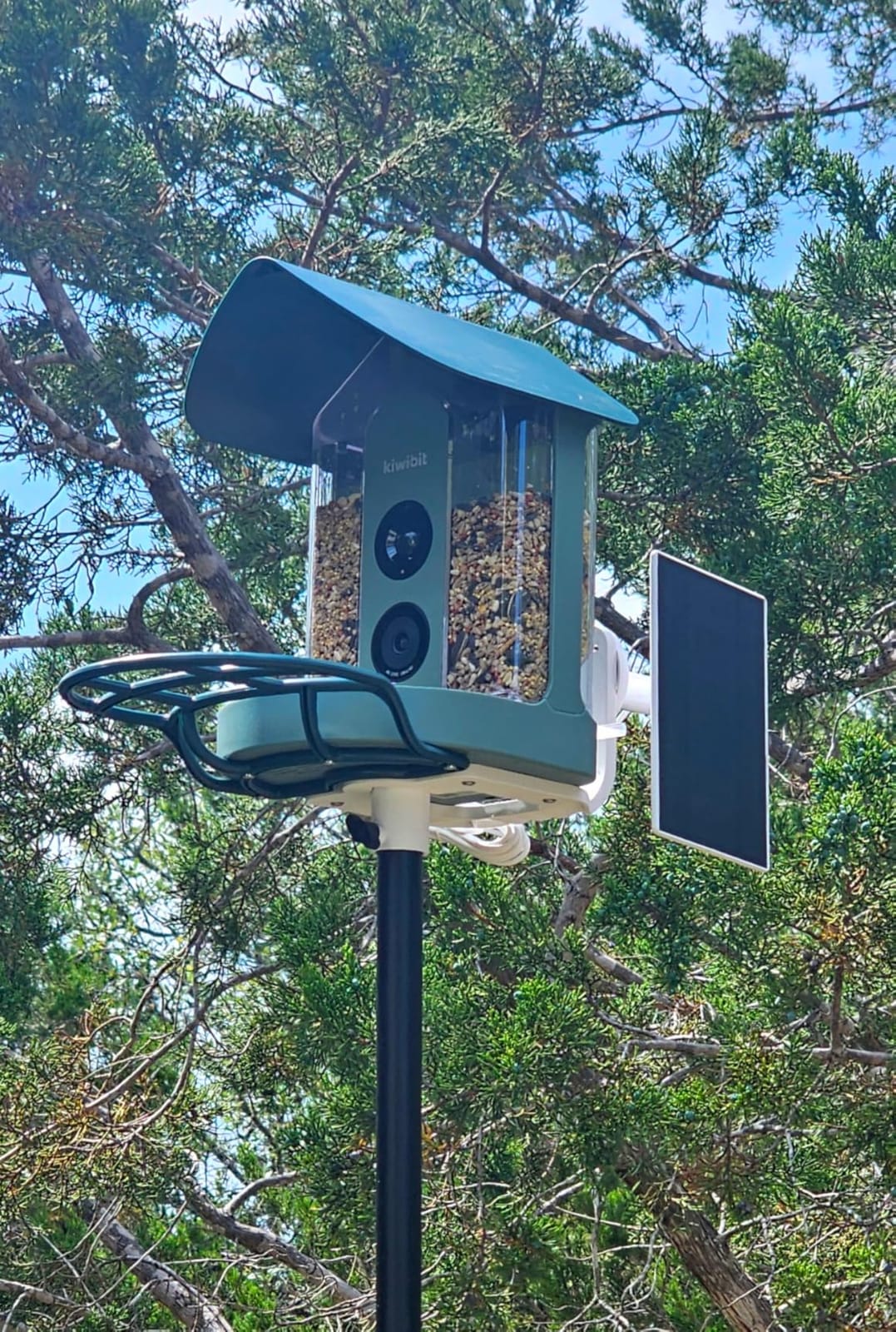 Kiwibit Smart Bird Feeder with 4K AI Camera Solar Powered, 8MP Photos customer photo 2
