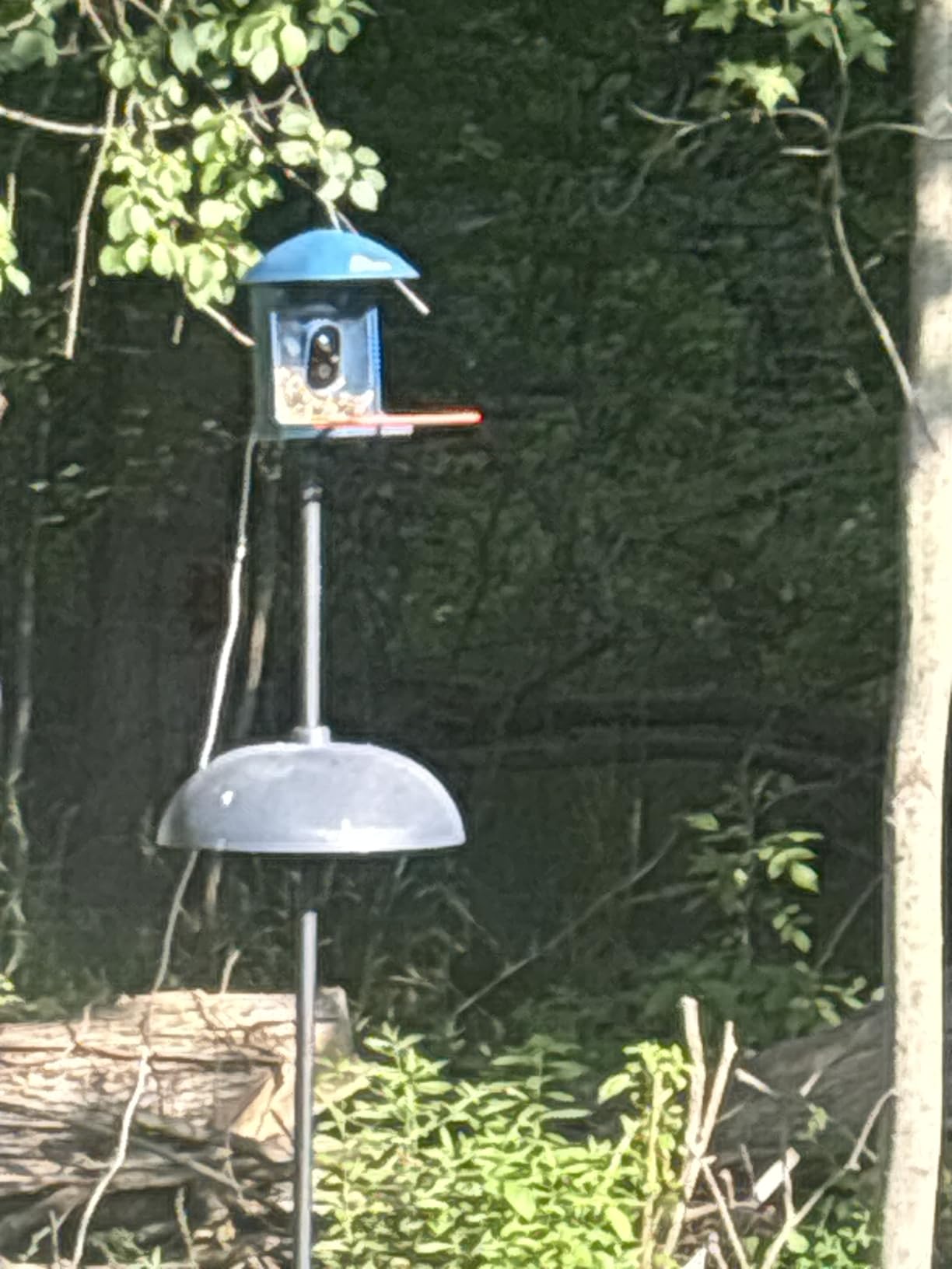 Smart Bird Feeder with Camera Solar Powered, Auto Record 2K HD Videos customer photo 1