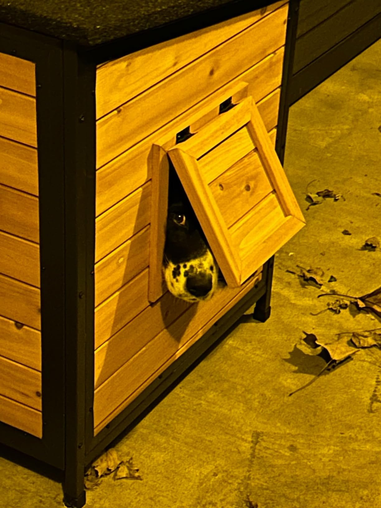 Outdoor Insulated Wooden Dog House Weatherproof Metal Frame Chew Resistant customer photo 2