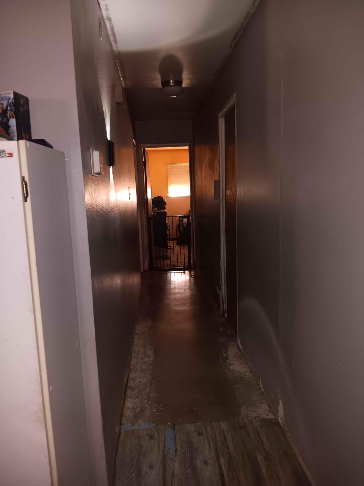 Eneru Motion Sensor Wall Sconce, Rechargeable Wireless Lights Indoor 2 Pack customer photo 2