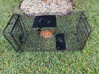 Humane Way Folding 32 Inch Live Humane Animal Trap - Safe Traps for All Animals - Raccoons, Cats, Groundhogs, Opossums - 32