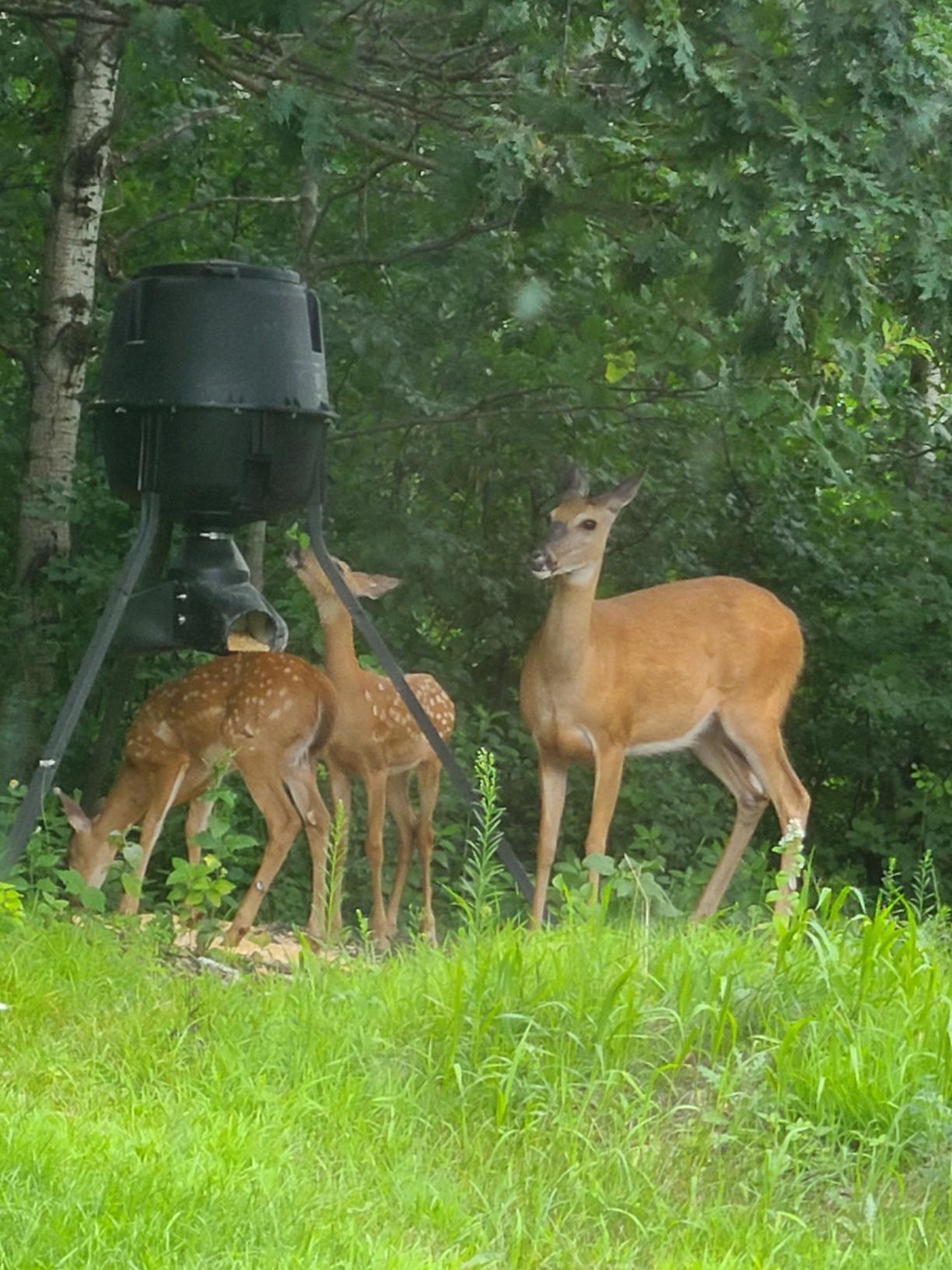 Moultrie Gravity Deer Feeder - Tripod Game Feeder - Easy Conversion Adapter - Protein Pellet Ready - Rugged No-Power Setup for Deer Management customer photo 2