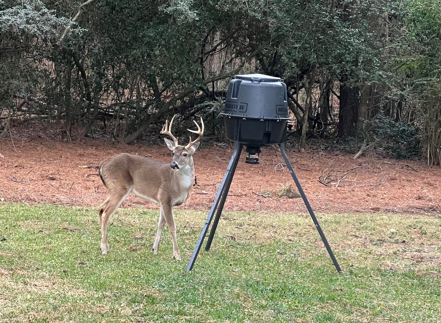 Moultrie 200 Lb Tripod Deer Feeder - Bluetooth App Control customer photo 2