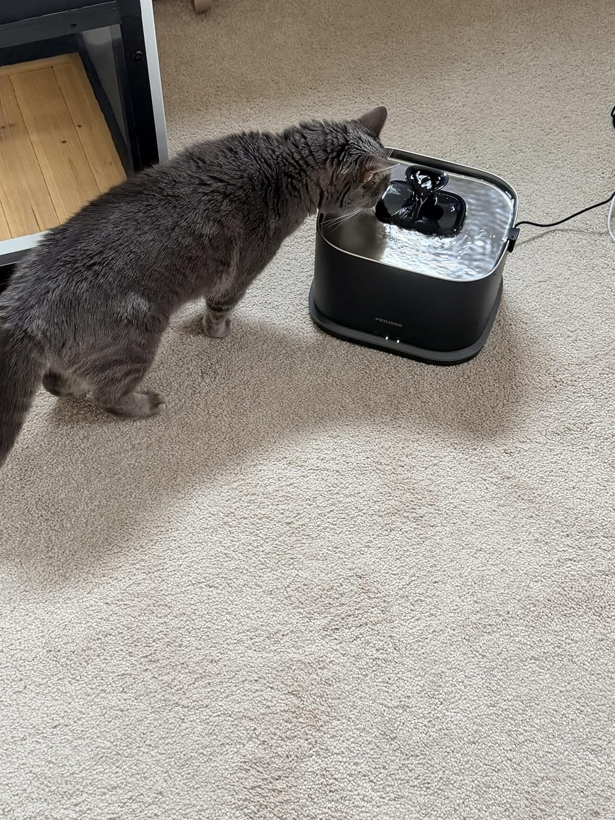 PETLIBRO Upgrade Cat Water Fountain Stainless Steel Tray, Dockstream 2 Cat Fountain Indoor, 3L/101oz Auto Cat Fountains for Drinking, App Monitoring Pet Water Fountain Dog, 5G WiFi Cat Water Dispenser customer photo 2