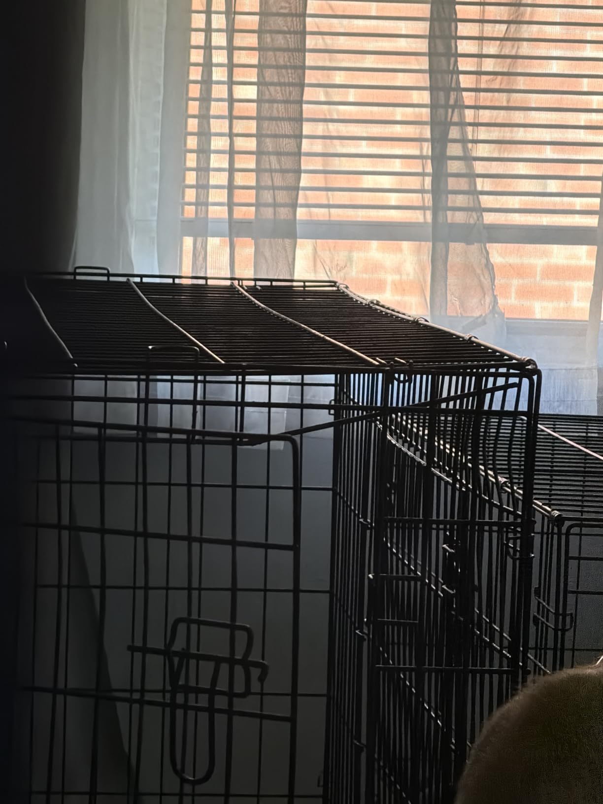 BestPet | Dog Crate | 18