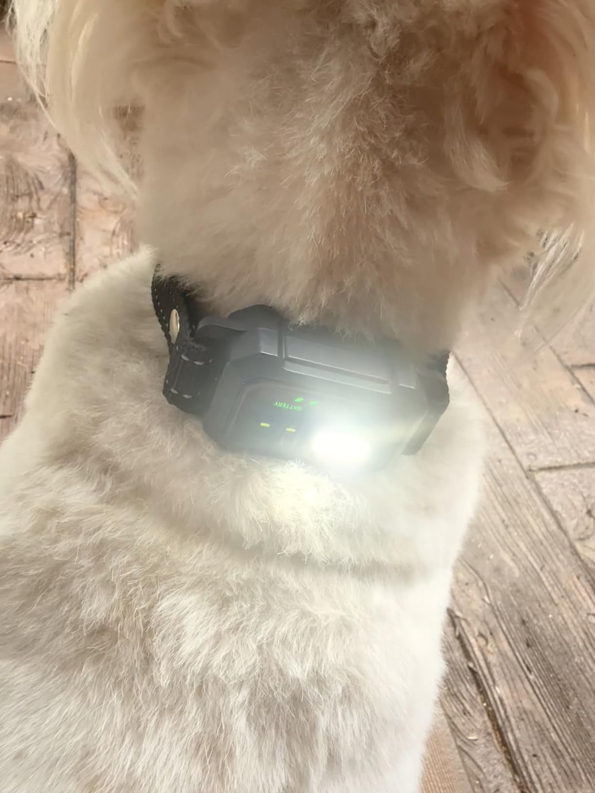 BLACKDOG Military Dog Shock Collar - 4200ft Dog Training Collar with Remote, 4 Training Modes, Flashlight & Strobe, 3-Month Battery, IP67 Waterproof Dog E Collar for All Breeds 5-150lbs (Dark Blue) customer photo 1