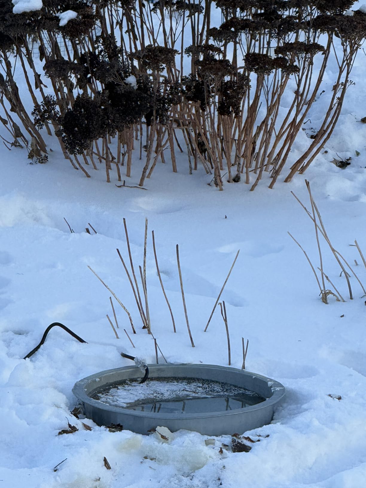 2 Pack Upgrade Bird Bath Heater for Outdoors in Winter, Pond Deicer 60 Watts Birdbath Deicer Water Heater Thermostatically Controlled with Auto Shut off Function for Patio Lawn (Frosted Gray) customer photo 2