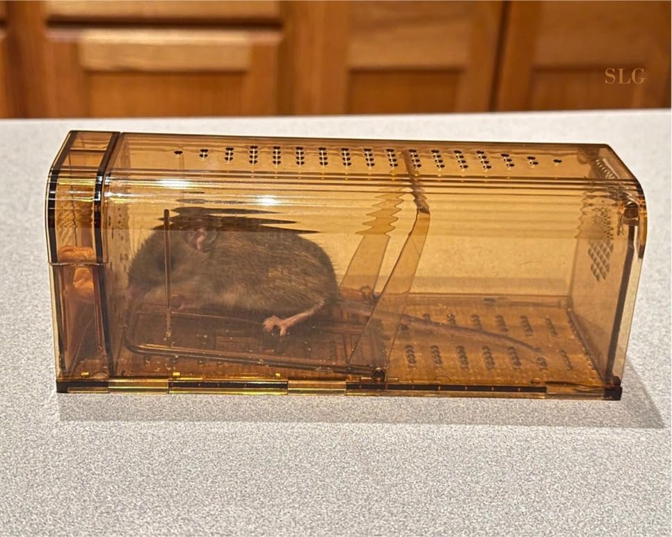 Mouse Traps Indoor for Home, 4 Pack No-Kill Catch and Release customer photo 1