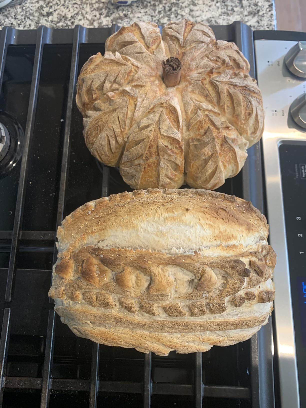 Sourdough Starter Kit with 10