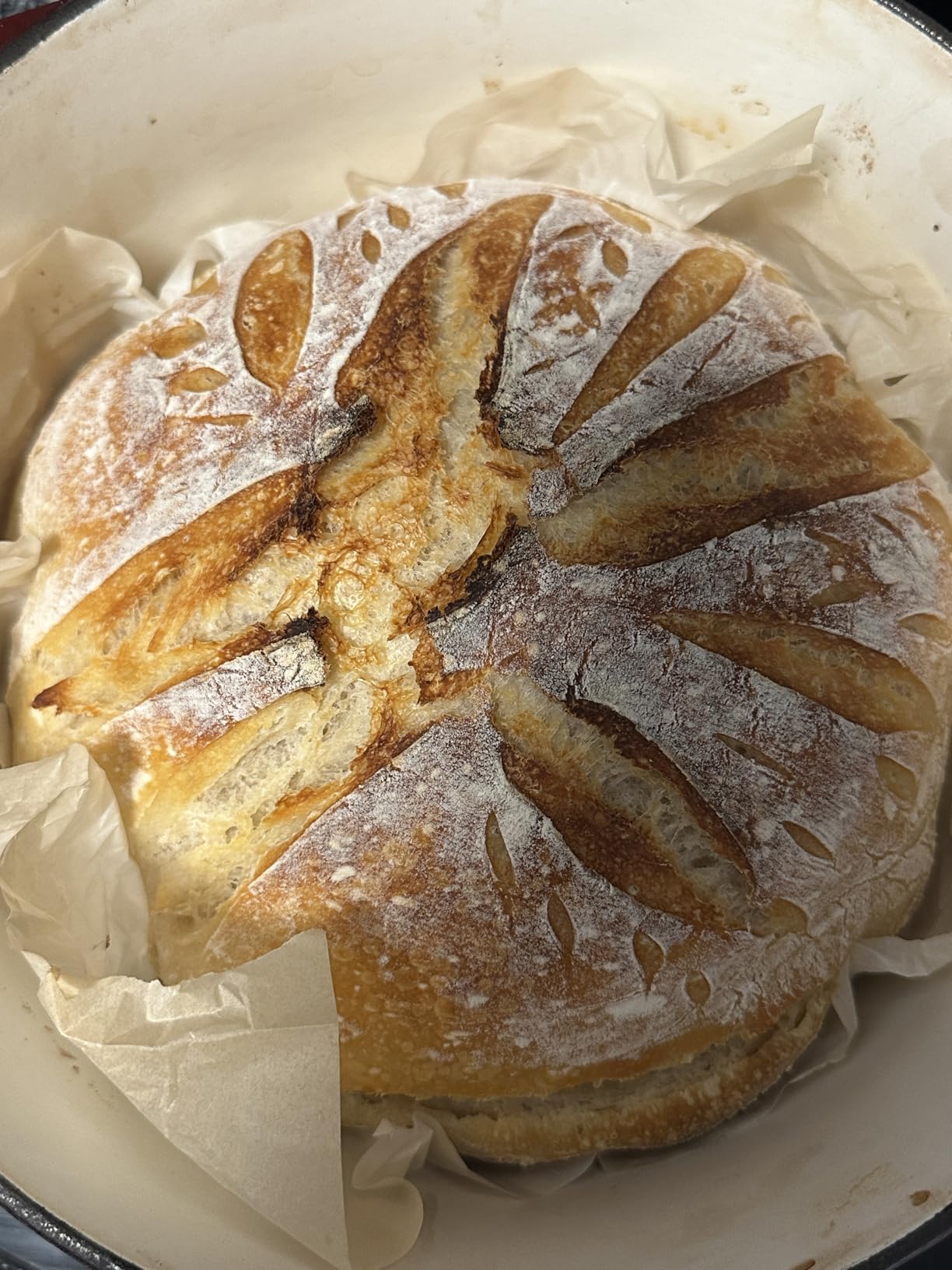 Sourdough Starter Kit with 10