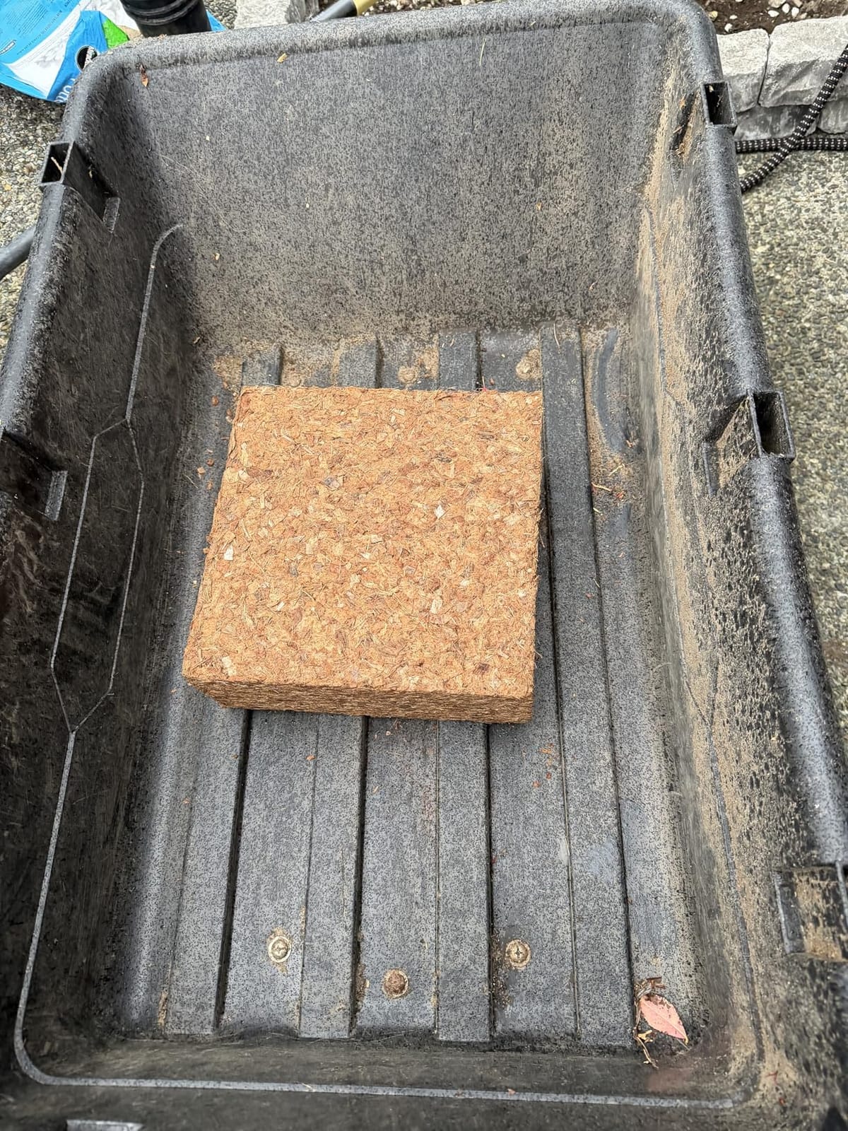Back to the Roots 100% Organic Mulch, 58 Quart (2 Cubic ft), Expanding Coconut Husk Block for Gardening customer photo 1