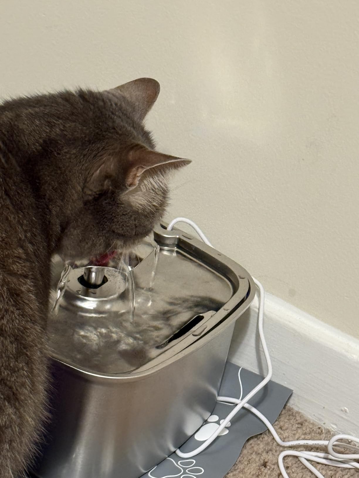 Veken Innovation Award Winner Stainless Steel Cat Water Fountain, 108oz, C1 customer photo 2
