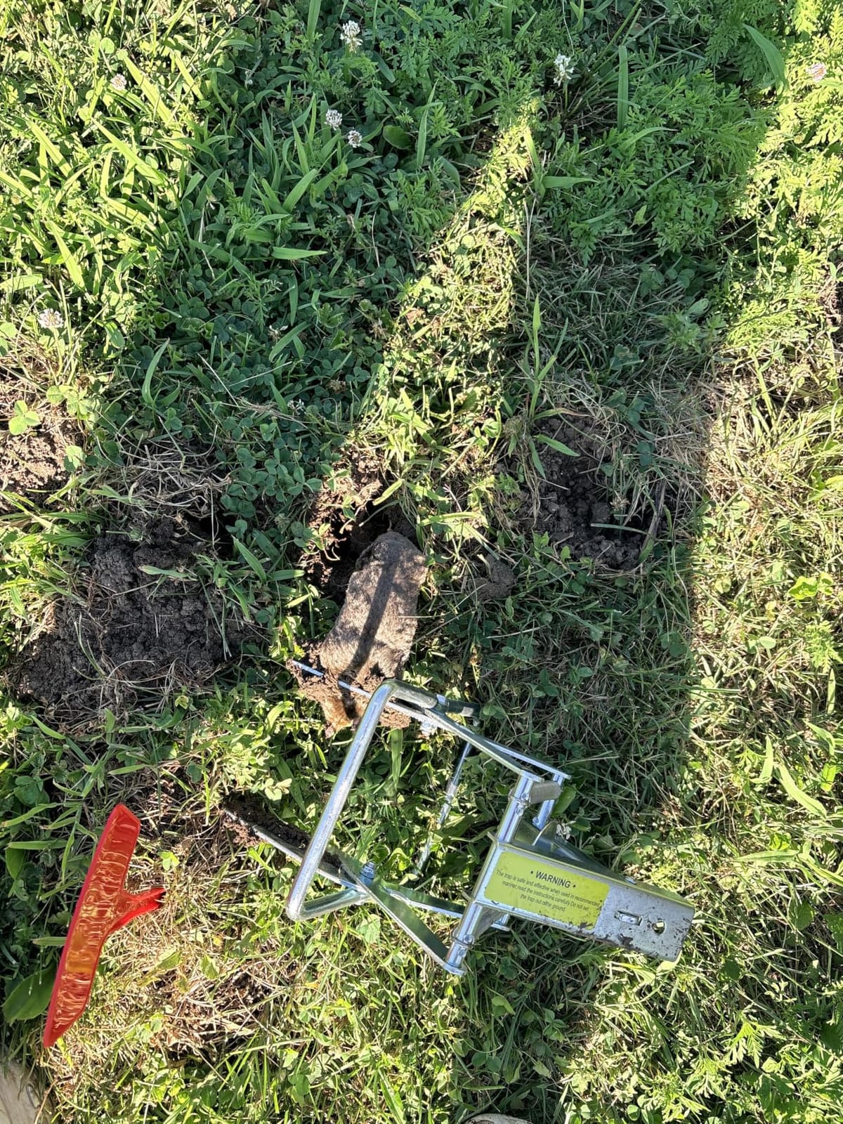 Metal Mole Trap with Spring-Loaded Mechanism, Mole Trap Killer, mole Traps that Kill Best,4-Pack Red Markers customer photo 2