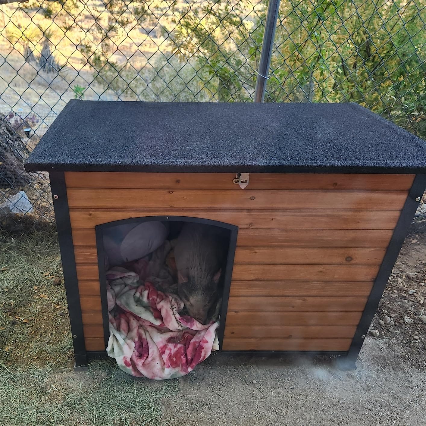 Heated Dog House for Outside with Heating Pad Insulated Dog Kennel for Small Medium Dogs, Iron Frame Dog Shelter Outdoor, Waterproof Roof Raised Feet Grey customer photo 2