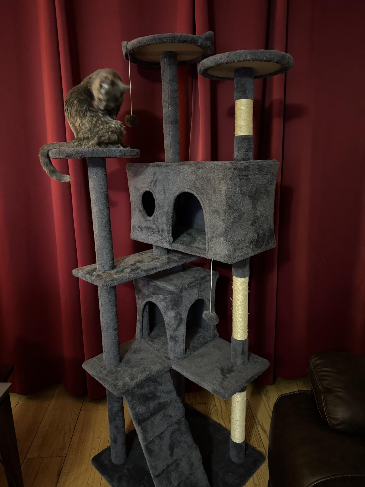 BestPet | 54