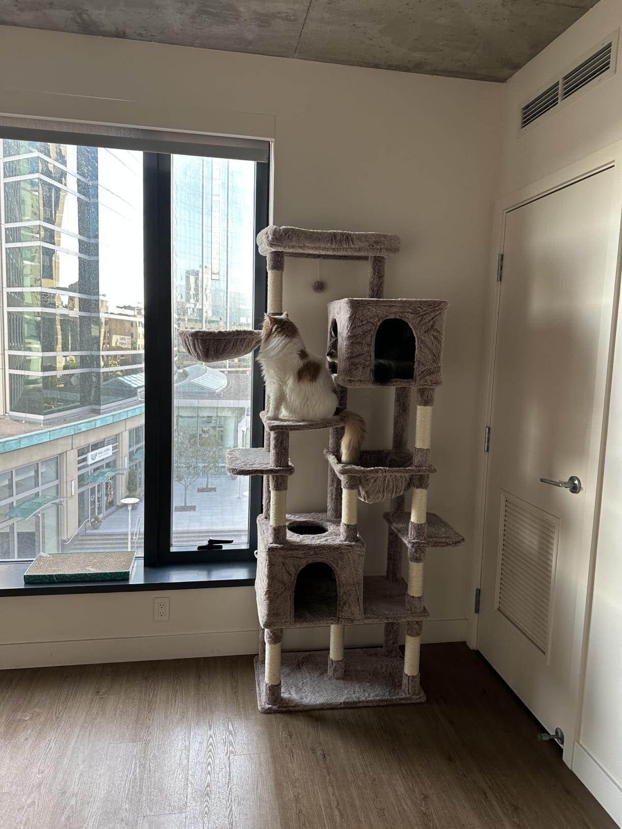 Heybly Cat Tree, 76-Inch Tall Heavy Duty Cat Tower for Big Cats HCT039G customer photo 1