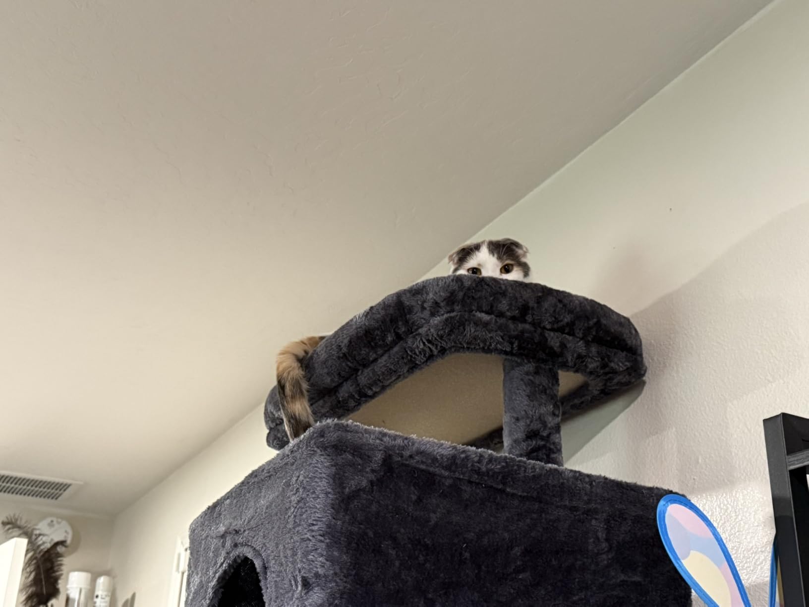 Heybly Cat Tree, 76-Inch Tall Heavy Duty Cat Tower for Big Cats HCT039G customer photo 2